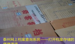 泰州网上档案查询系统——打开档案存储的便捷通道