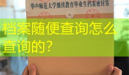 档案随便查询怎么查询的？