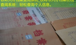 铁岭人才档案查询系统_铁岭市人才档案在线查阅系统：轻松查询个人信息。
