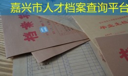 嘉兴市人才档案查询平台