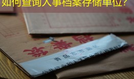 如何查询人事档案存储单位？