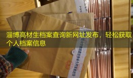 淄博高材生档案查询新网址发布，轻松获取个人档案信息