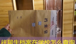 往届生档案在学校怎么查询