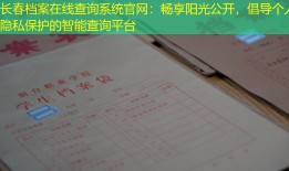 长春档案在线查询系统官网：畅享阳光公开，倡导个人隐私保护的智能查询平台