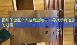铜川印台区个人档案查询——寻找珍贵信息的过程
