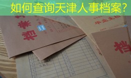 如何查询天津人事档案？