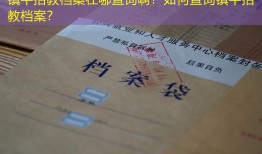 镇平招教档案在哪查询啊？如何查询镇平招教档案？