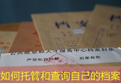 如何托管和查询自己的档案
