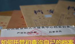 如何托管和查询自己的档案
