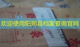 欢迎使用阳朔县档案查询官网