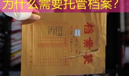 为什么需要托管档案？