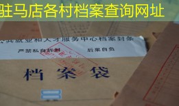 驻马店各村档案查询网址