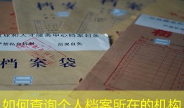 如何查询个人档案所在的机构