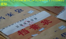 深圳市个人档案查询_探究深圳市个人档案的奥秘