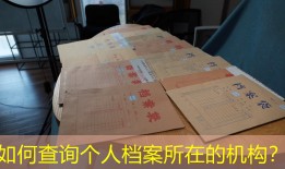 如何查询个人档案所在的机构？