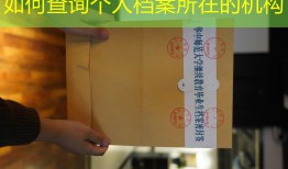 如何查询个人档案所在的机构
