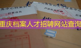 重庆档案人才招聘网站查询