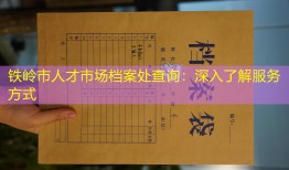 铁岭市人才市场档案处查询：深入了解服务方式