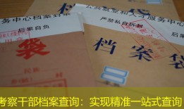 考察干部档案查询：实现精准一站式查询