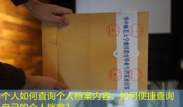 个人如何查询个人档案内容：如何便捷查询自己的个人档案？