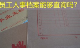 员工人事档案能够查询吗？
