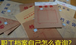 职工档案自己怎么查询？