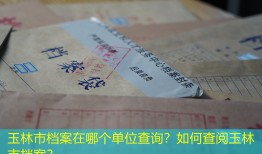 玉林市档案在哪个单位查询？如何查阅玉林市档案？