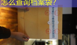 怎么查询档案袋？