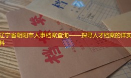辽宁省朝阳市人事档案查询——探寻人才档案的详实资料
