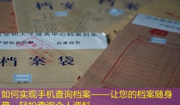如何实现手机查询档案——让您的档案随身带，轻松查询个人资料