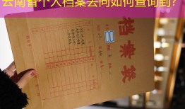 云南省个人档案去向如何查询到？