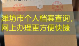 潍坊市个人档案查询，网上办理更方便快捷