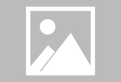 眉山人才交流中心档案查询_查阅人才档案，一站式服务