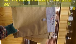 遂宁人才网档案在哪里查询？如何进行查询？