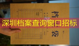 深圳档案查询窗口招标
