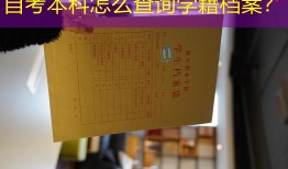 自考本科怎么查询学籍档案？