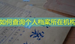 如何查询个人档案所在机构