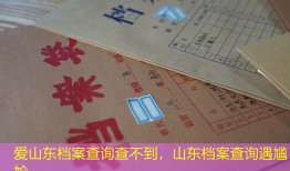 爱山东档案查询查不到，山东档案查询遇尴尬