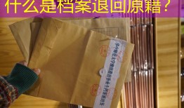 什么是档案退回原籍？