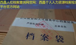 西昌人社档案查询网官网：西昌个人人力资源档案检索平台官方网站