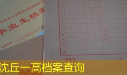 沈丘一高档案查询