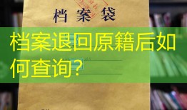 档案退回原籍后如何查询？