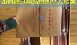 如何通过网络查询个人档案