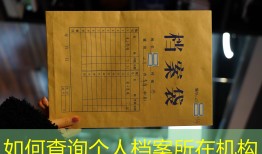 如何查询个人档案所在机构