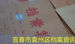 宜春市袁州区档案查询