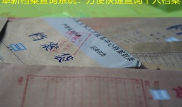 阜新档案查询系统：方便快捷查询个人档案
