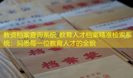 教资档案查询系统_教育人才档案精准检索系统：洞悉每一位教育人才的全貌