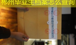 郴州毕业生档案怎么查询