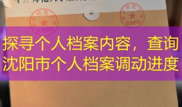 探寻个人档案内容，查询沈阳市个人档案调动进度