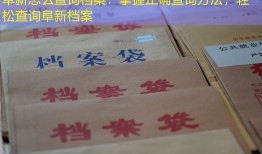 阜新怎么查询档案：掌握正确查询方法，轻松查询阜新档案